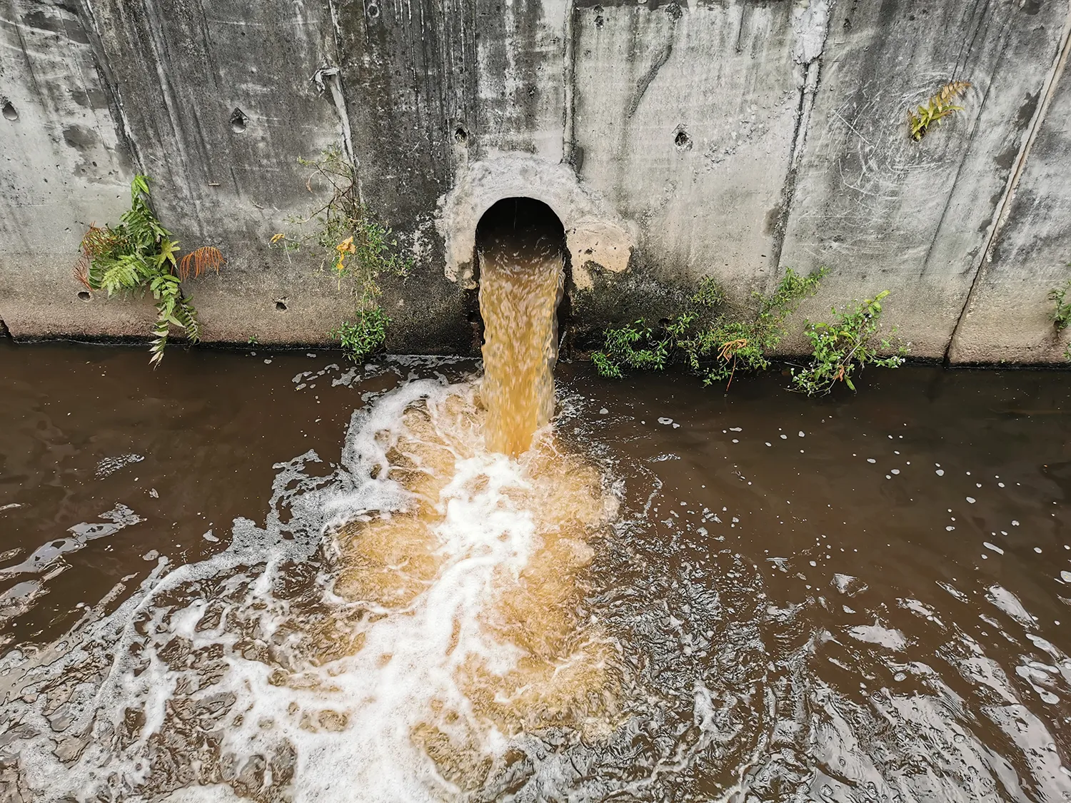 sewage